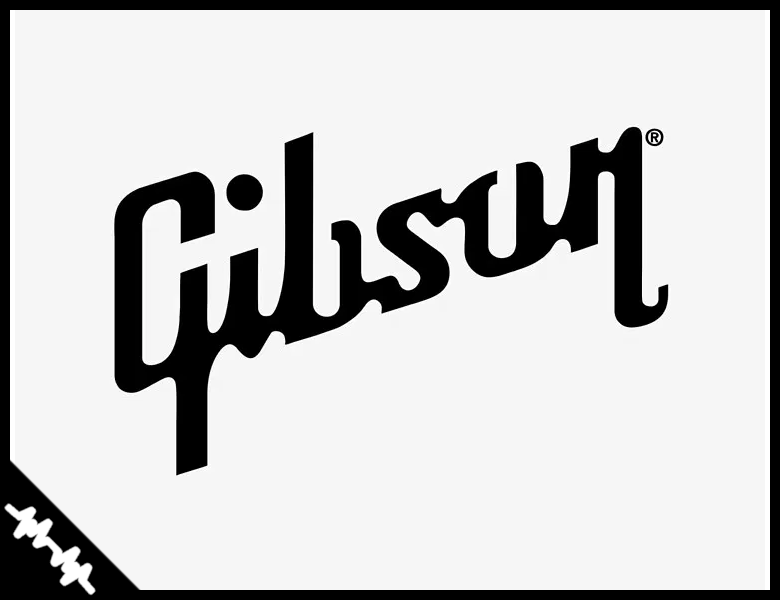 Gibson Guitars Marketing Project, For Intro to Business